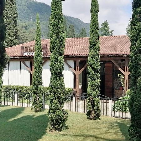 Sophia Apartment New Athos Exterior photo